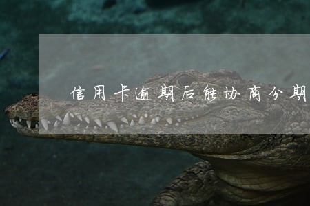 信用卡逾期后能协商分期吗 信用卡逾期后能协商分期吗
