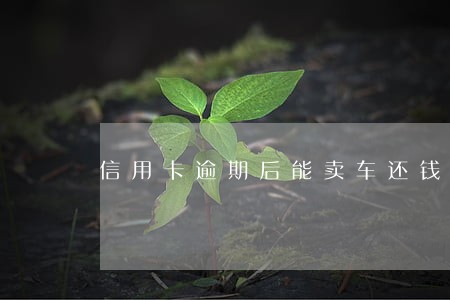 信用卡逾期后能卖车还钱吗 信用卡逾期后能卖车还钱吗