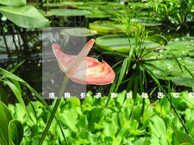 信用卡逾期后能否收回本金 信用卡逾期后能否收回本金