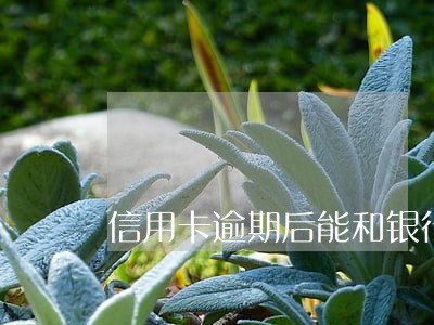 信用卡逾期后能和银行协商分期吗 信用卡逾期后能和银行协商分期吗
