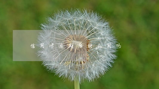 信用卡逾期后能在用吗 信用卡逾期后能在用吗