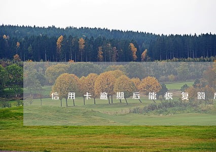 信用卡逾期后能恢复额度吗