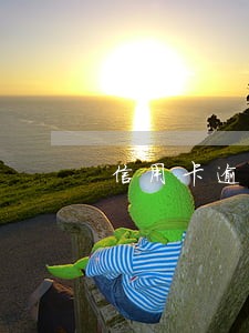 信用卡逾期后能看医保 信用卡逾期后能看医保