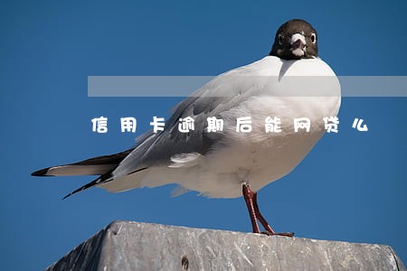信用卡逾期后能网贷么 信用卡逾期后能网贷么