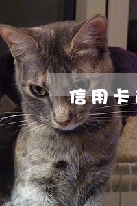 信用卡逾期后能要求还款吗