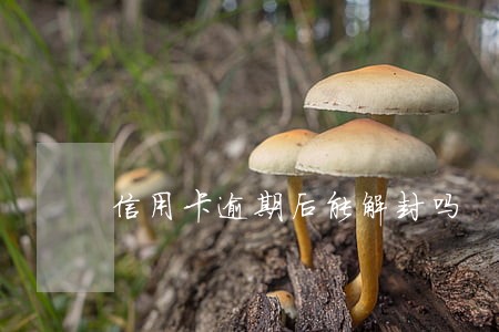 信用卡逾期后能解封吗