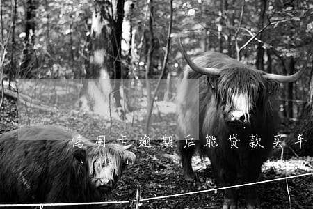 信用卡逾期后能贷款买车 信用卡逾期后能贷款买车