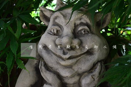 信用卡逾期后自动从储蓄卡扣款 信用卡逾期后自动从储蓄卡扣款