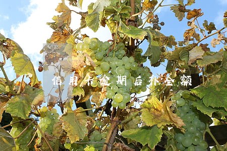 信用卡逾期后补全额 信用卡逾期后补全额