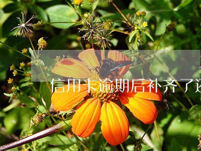 信用卡逾期后补齐了还能用吗