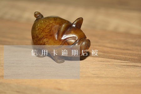 信用卡逾期后被 信用卡逾期后被