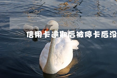 信用卡逾期后被停卡后没有了 信用卡逾期后被停卡后没有了
