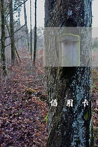 信用卡逾期后被停卡怎么办