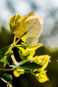 信用卡逾期后被停用了怎么办 信用卡逾期后被停用了怎么办