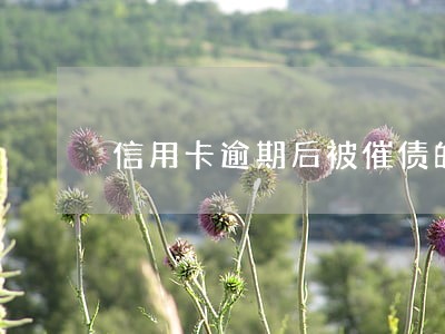 信用卡逾期后被催债的经历 信用卡逾期后被催债的经历