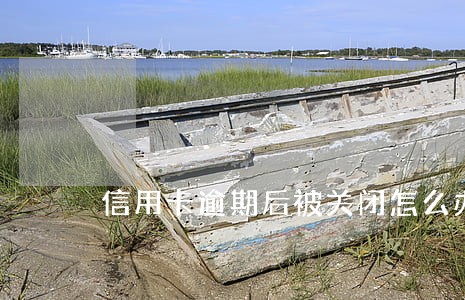 信用卡逾期后被关闭怎么办 信用卡逾期后被关闭怎么办