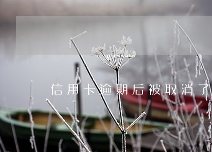 信用卡逾期后被取消了用卡权