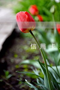 信用卡逾期后被告知起诉 信用卡逾期后被告知起诉