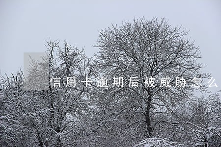 信用卡逾期后被威胁怎么处理 信用卡逾期后被威胁怎么处理