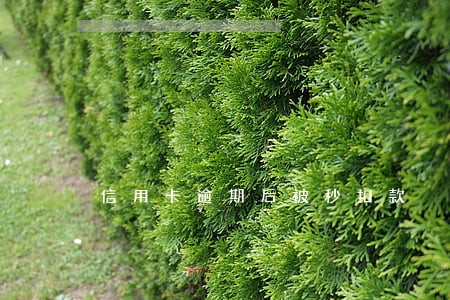 信用卡逾期后被秒扣款 信用卡逾期后被秒扣款