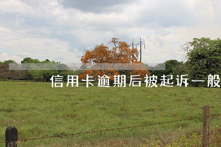 信用卡逾期后被起诉一般怎么样 信用卡逾期后被起诉一般怎么样
