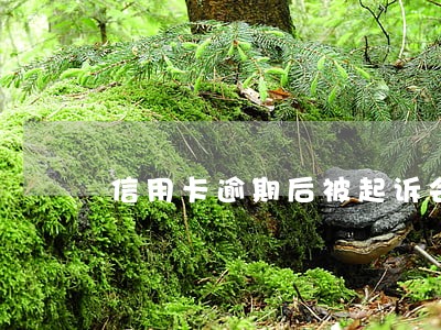 信用卡逾期后被起诉会怎样 信用卡逾期后被起诉会怎样