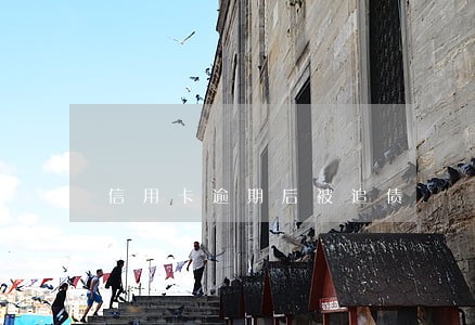 信用卡逾期后被追债 信用卡逾期后被追债
