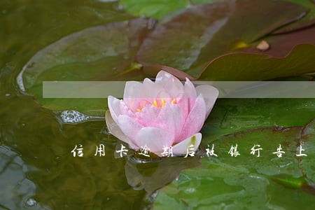 信用卡逾期后被银行告上法院