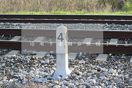 信用卡逾期后被销卡了怎么办