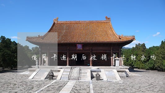 信用卡逾期后被销卡还能办吗