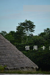 信用卡逾期后要全部还玩吗 信用卡逾期后要全部还玩吗