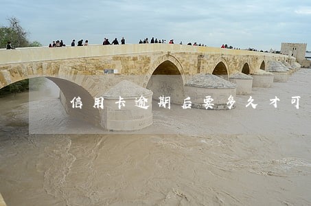 信用卡逾期后要多久才可以还款 信用卡逾期后要多久才可以还款