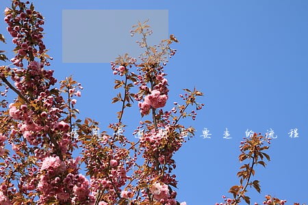 信用卡逾期后要走的流程 信用卡逾期后要走的流程