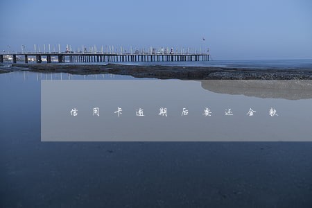 信用卡逾期后要还全款 信用卡逾期后要还全款
