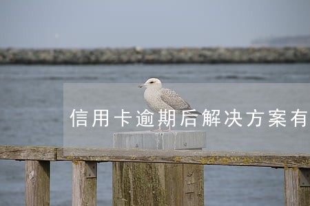信用卡逾期后解决方案有哪些