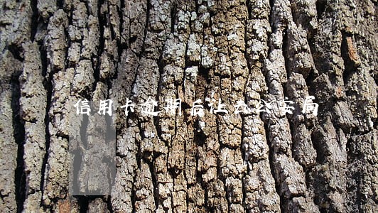 信用卡逾期后让去公安局