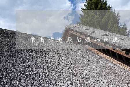 信用卡逾期后该如何说 信用卡逾期后该如何说
