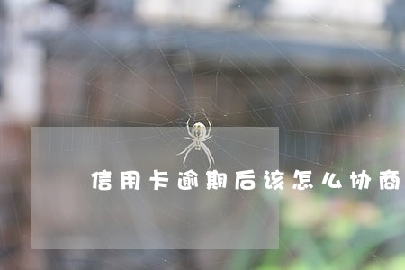 信用卡逾期后该怎么协商 信用卡逾期后该怎么协商
