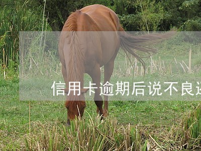 信用卡逾期后说不良还会恢复吗
