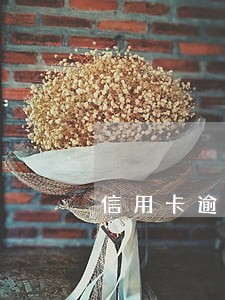 信用卡逾期后说没借 信用卡逾期后说没借