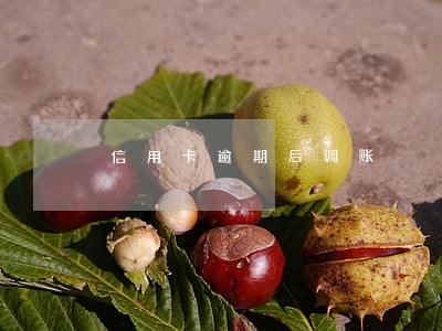 信用卡逾期后调账 信用卡逾期后调账