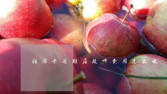 信用卡逾期后败诉费用怎么收 信用卡逾期后败诉费用怎么收