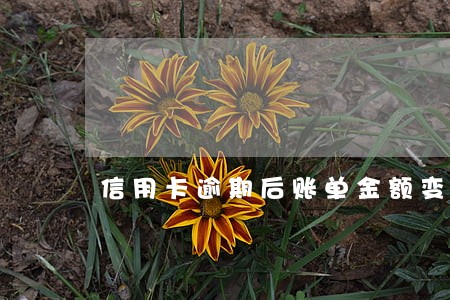 信用卡逾期后账单金额变少了 信用卡逾期后账单金额变少了
