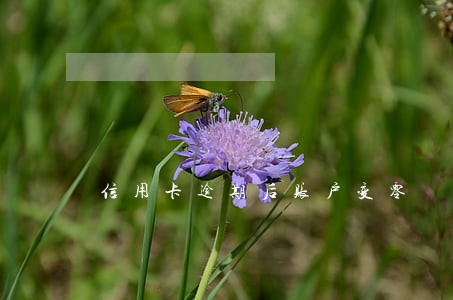信用卡逾期后账户变零