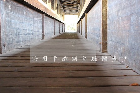 信用卡逾期后赔偿多少 信用卡逾期后赔偿多少