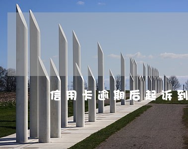 信用卡逾期后起诉到法院怎么办 信用卡逾期后起诉到法院怎么办