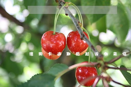 信用卡逾期后起诉潮来临 信用卡逾期后起诉潮来临