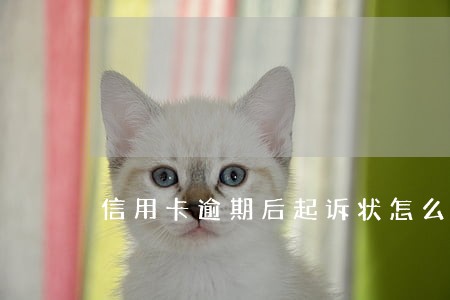信用卡逾期后起诉状怎么办