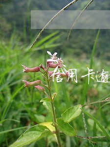 信用卡逾期后越来越多怎么还 信用卡逾期后越来越多怎么还