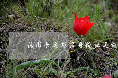 信用卡逾期后身份证还能用吗 信用卡逾期后身份证还能用吗
